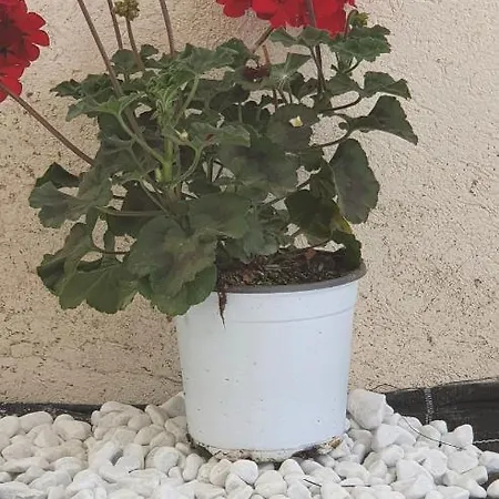 Baia Vendicari, Balata, Tonnara, Cortile Del Rais マルツァメミ